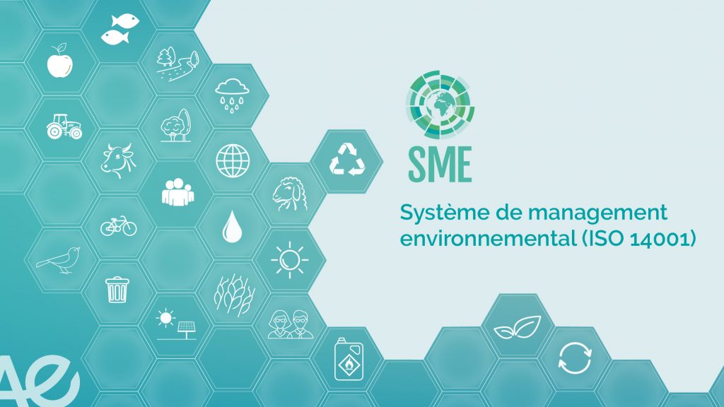 SME