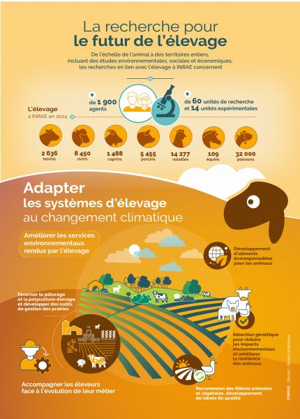 L'élevage face aux défis du changement climatique